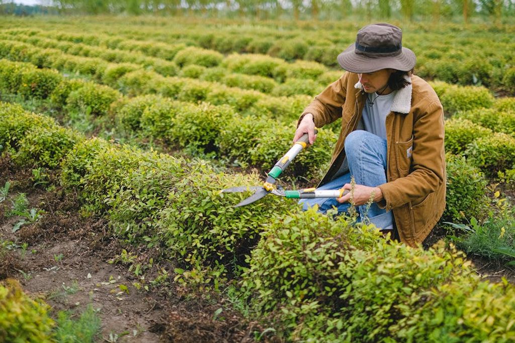 landscaping business